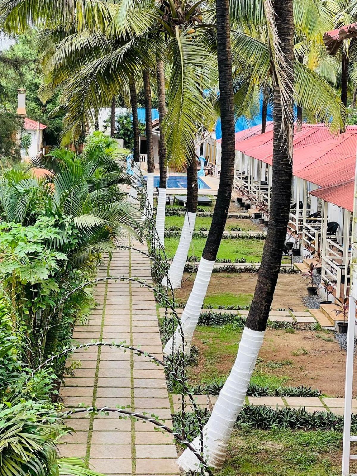 Arabian Sea Beach Resort Morjim Exterior foto